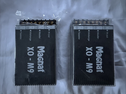 Magnat 100 - 2,